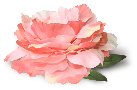 RÃ©sultat de recherche d'images pour "tube de roses pour creation"
