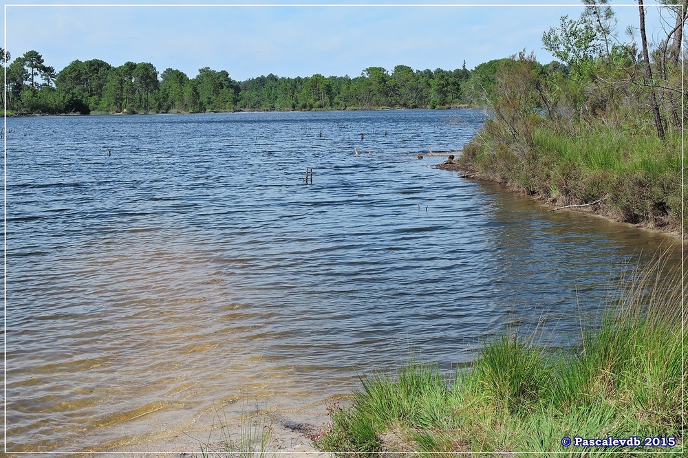 Nouvelle balade au lac du Bousquey - Juillet 2015 - 4/7