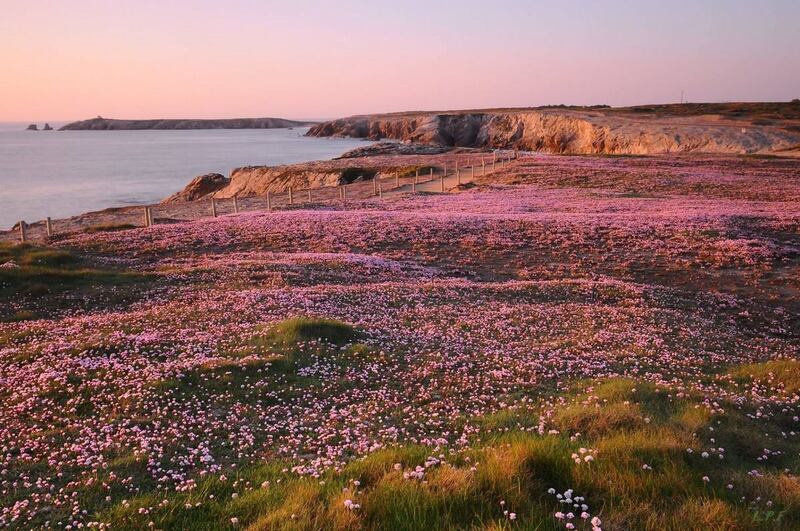 TUBES PAYSAGE BRETON