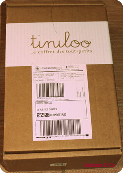 Tiniloo