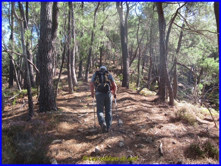 St Jean du Gard, le pic d'Arbousse