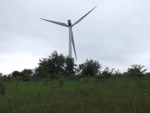 Eoliennes de Bambiderstroff