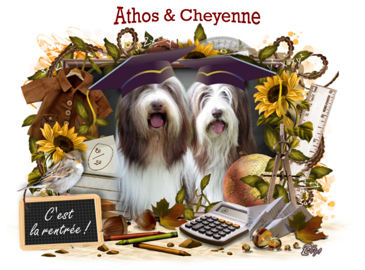 ♥ Bonne rentrée d' Athos & Cheyenne ♥