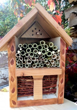 - Bienvenue sur le blog du jardin des petites ruches