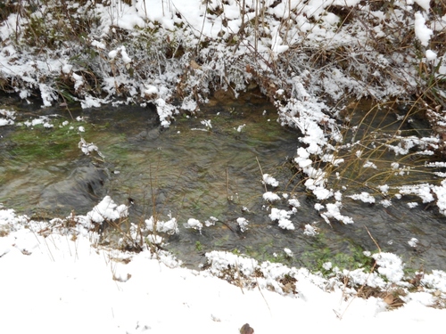 premier plan enneigé puis ruisseau, sur l'autre berge talus : feuilles sèches, herbes sous la neige, milieu du ruisseau herbes avec neige, branches avec glace 