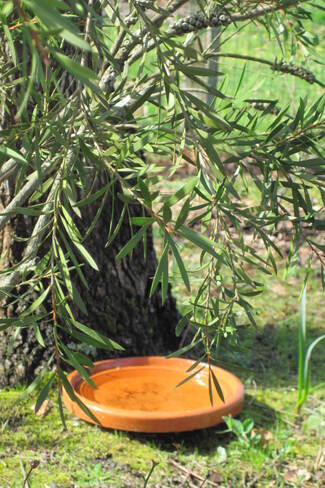  Recycler un plat à tajine