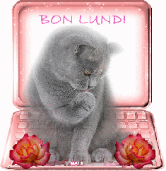 Bonne journée