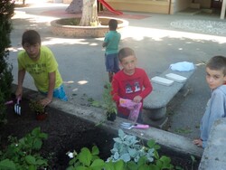 Jardinage à l'école