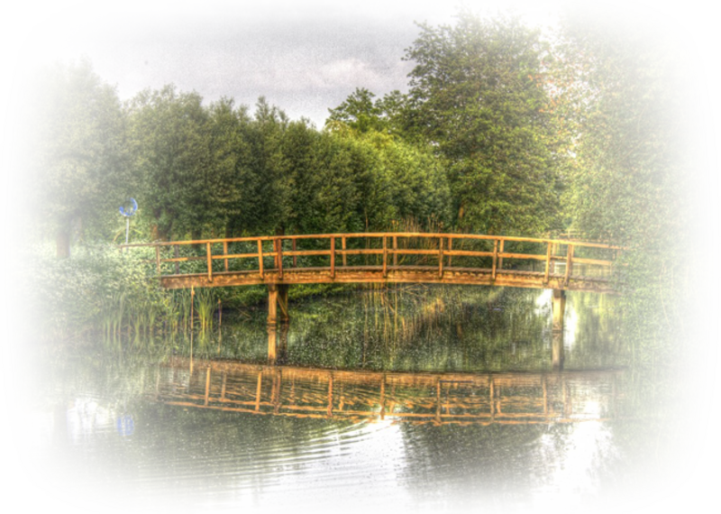 Paysages , ponts,quais 1