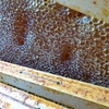 Plein de miel