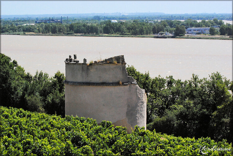 Photos du Bec d'Ambes (Bourg sur Gironde)