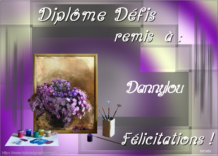 mes diplomes