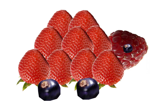 TORTUE FRUITS