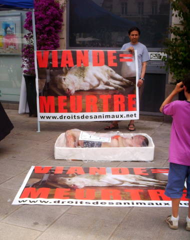 nea journée anti spécisme barquette nantes