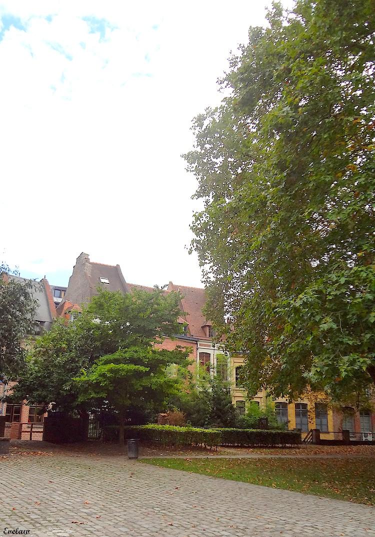 NOTRE DAME DE LA TREILLE - LILLE (3) - Le Jardin et le parvis - Place Gilleson