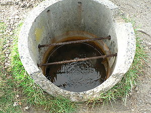 Longues, source des Saladis