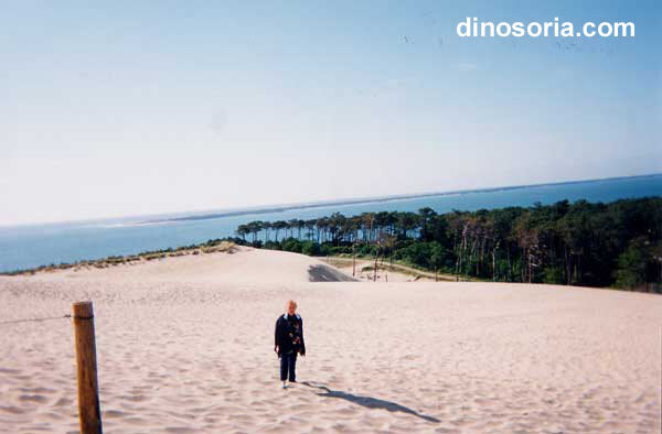 Dune du Pyla