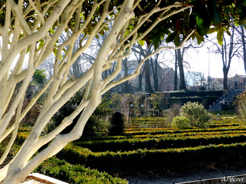 Le Jardin des Plantes en février 