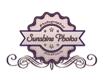 Logo Sunshine1