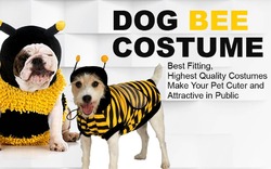 A Bee Costume - Buy Bee Costumes and Accessories At Lowest Prices