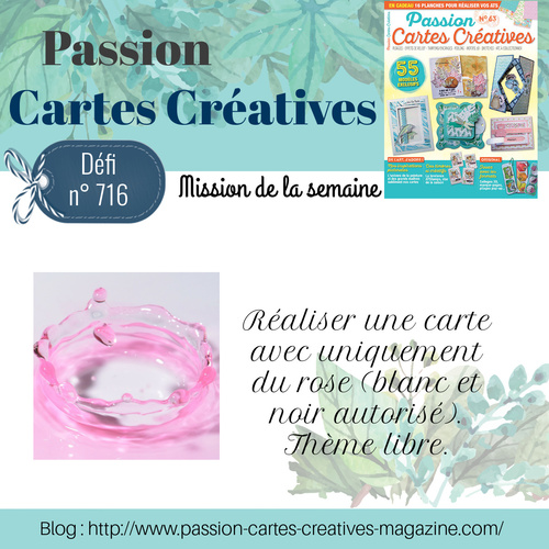 Passion Cartes Créatives#716 ! 