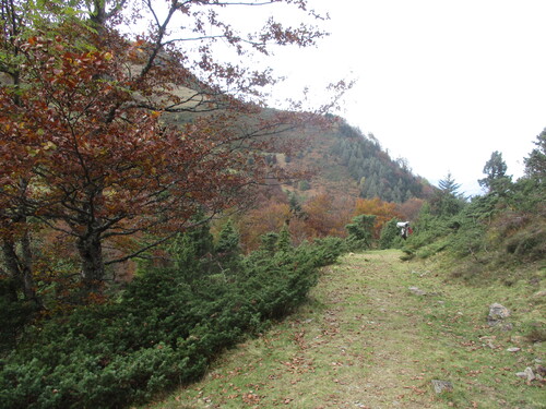 Cabane (2 nuits) : cabane de Courille (Bethmale) - 09