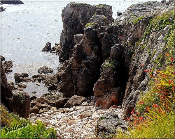 Flash sur la côte sauvage (Le Croisic) 