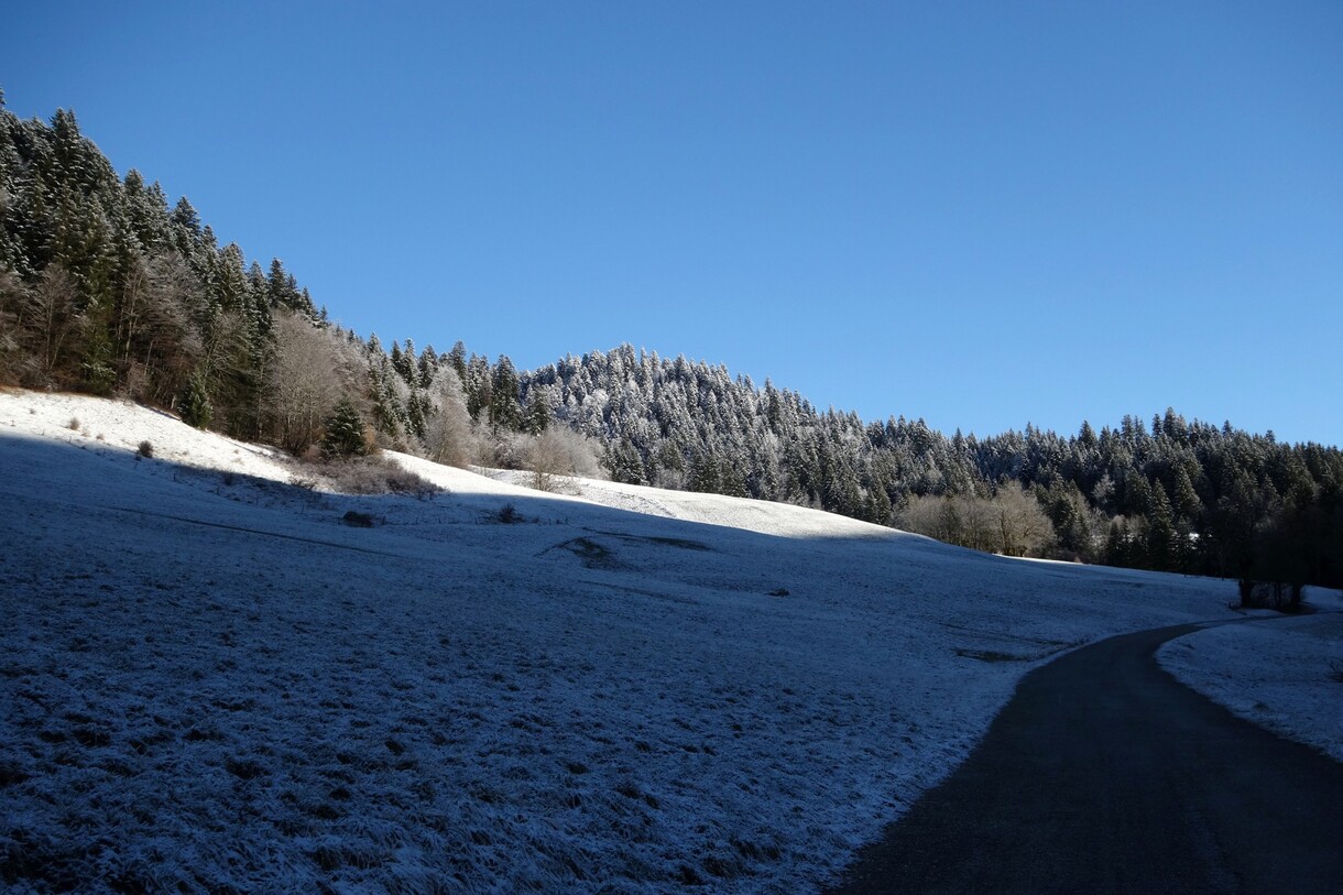 Les chalets de La Fullie