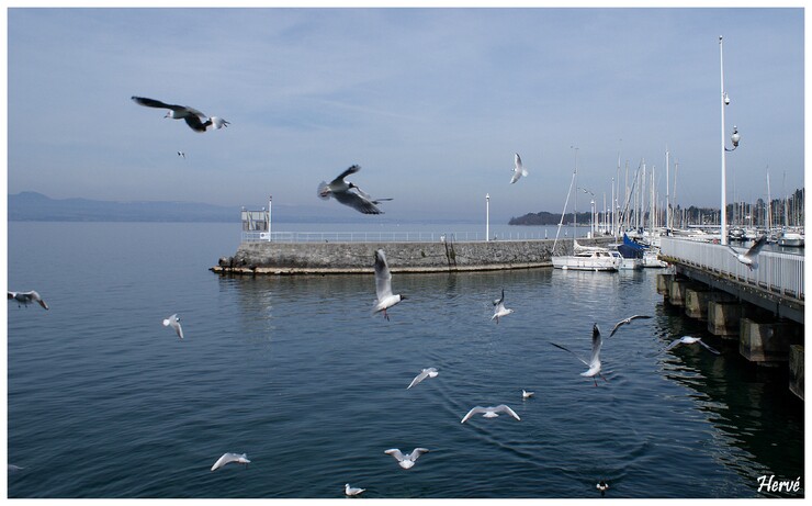 Thonon-les-Bains.