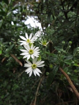 Balade au jardin