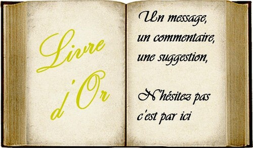 PENSEZ MON LIVRE D'OR SVP