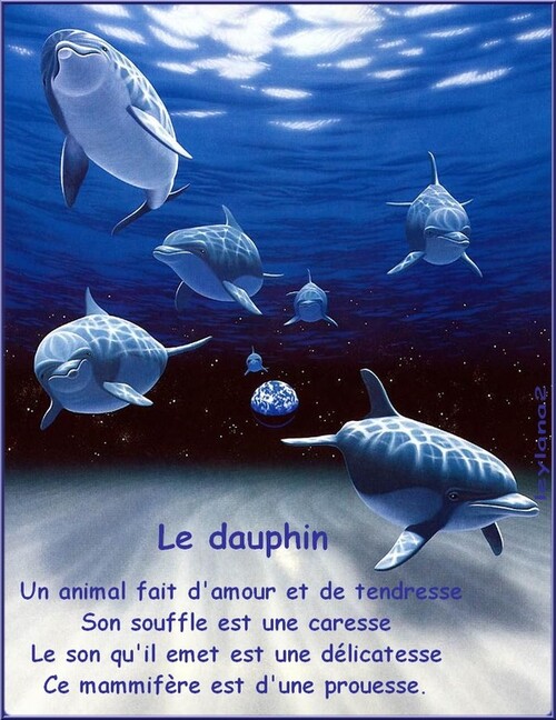       le dauphin