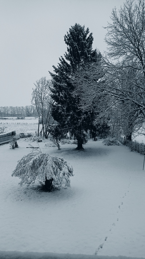 10 décembre le matin