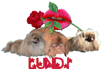 c'est lundi