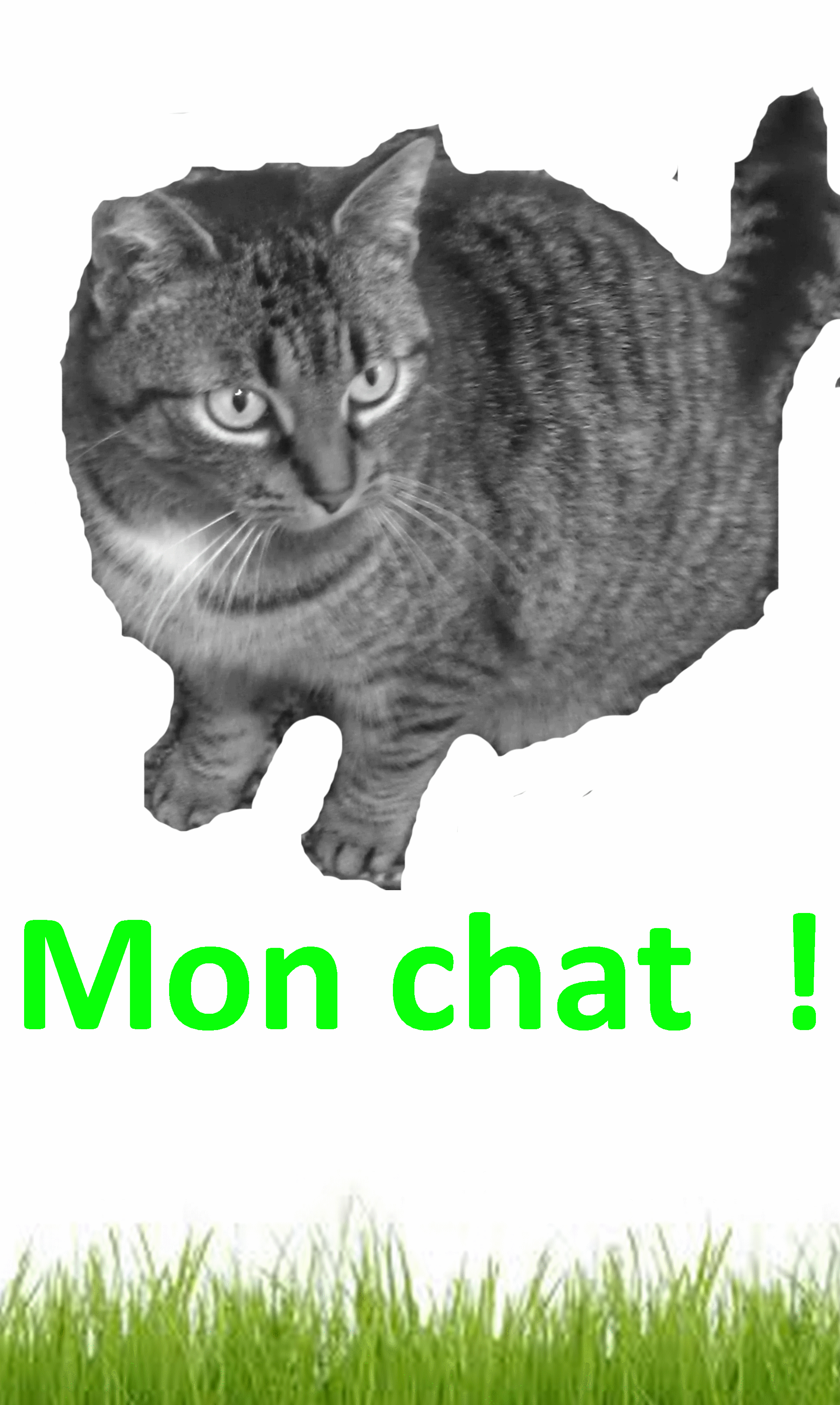 Mon chat