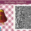 Quidditch Gryfondor
