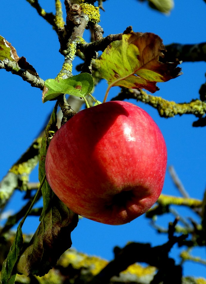 Adieu mois de novembre !