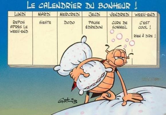 http://lancien.cowblog.fr/images/Caricatures1/lecalendrierdubonheurselongotlib.jpg