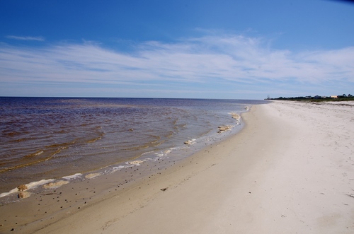 Des plages de Floride aux bayous de Louisiane