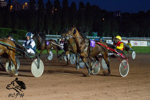 PRIX AUDRUICK (Gr B)