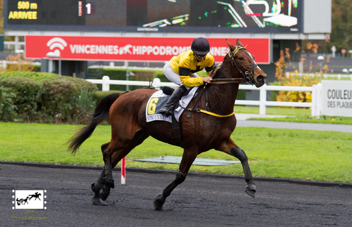 Prix d'Avesnes