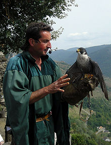 LORDAT LE VILLAGE LE CHATEAU ET LES RAPACES DU CHATEAU