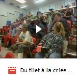 Classe de mer : Les oiseaux de mer, les crustacés, la vie d'un port de pêche