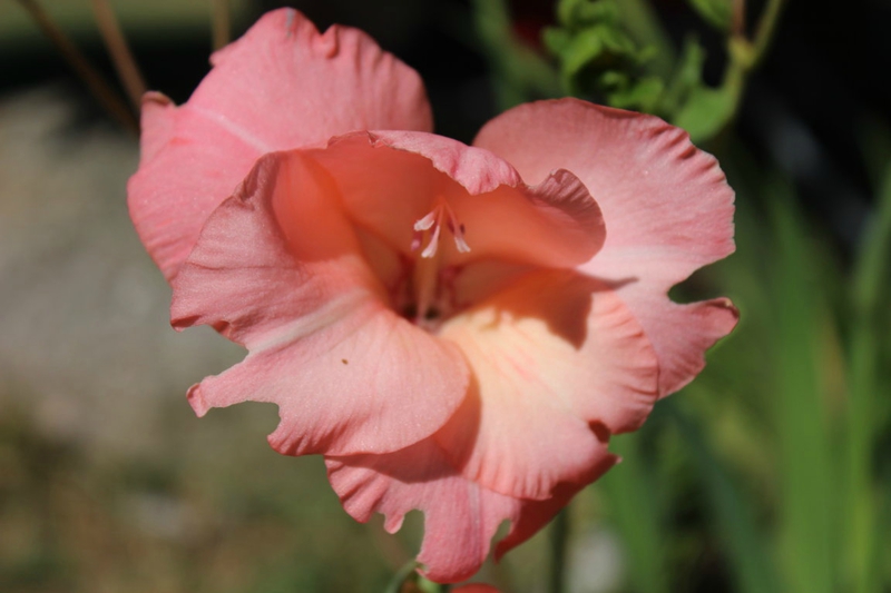 photos 431 (FILEminimizer)
