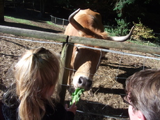 Notre visite à la ferme de Kerporho