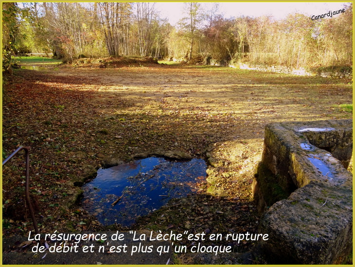 L'eau, bien commun aux plantes, aux animaux et aux hommes