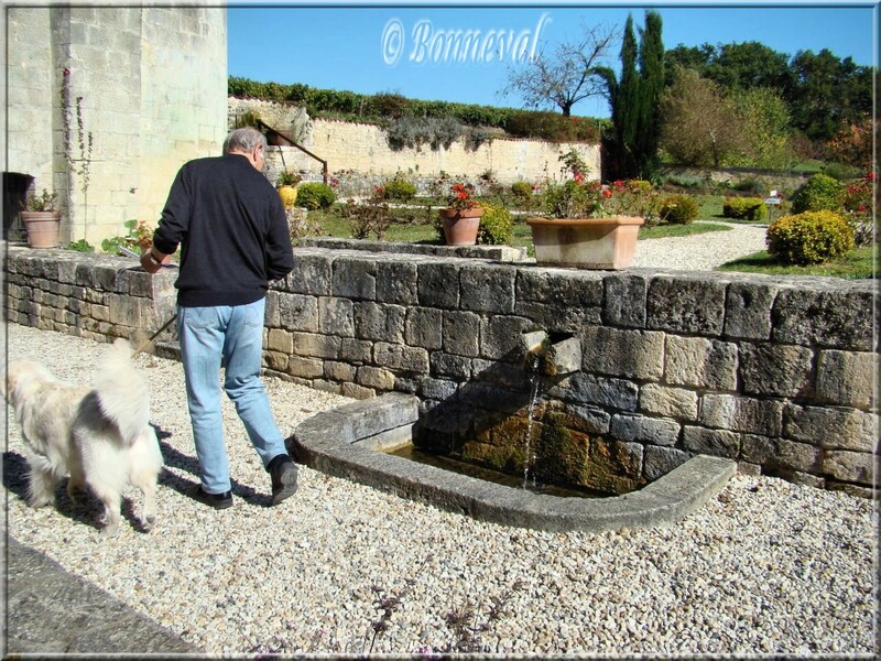 Abbaye de Fontdouce Charente-Maritime bassin dans les jardins