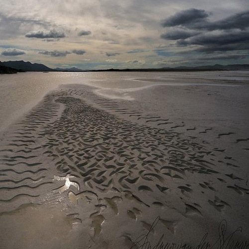 LAND ART un univers naturel