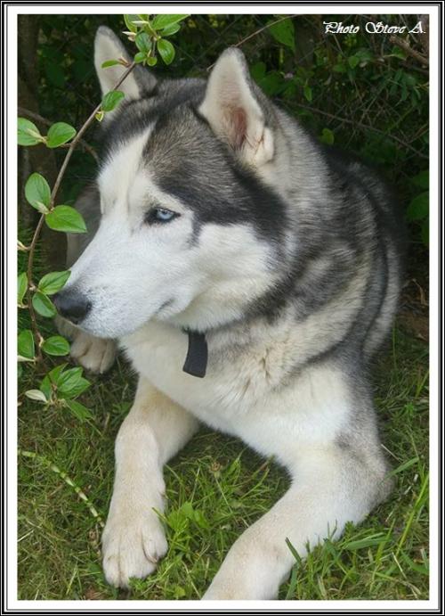 Ilouky (2,5 ans)