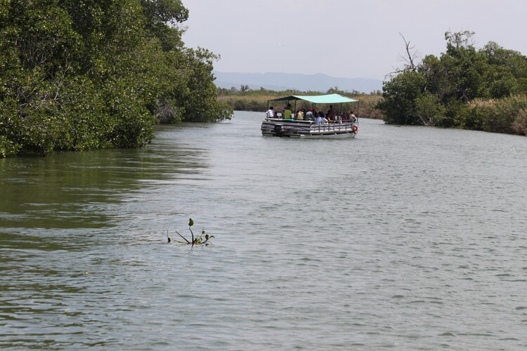 CROISIÈRE-SAFARI SUR LA RIVIÈRE NOIRE  JAMAÏQUE (BLACK RIVER - JAMAÏCA)